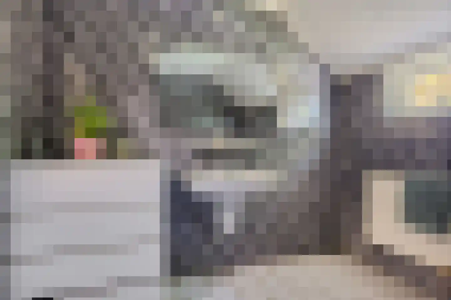 Hoofdweg 10 Kolham thumbnail 22