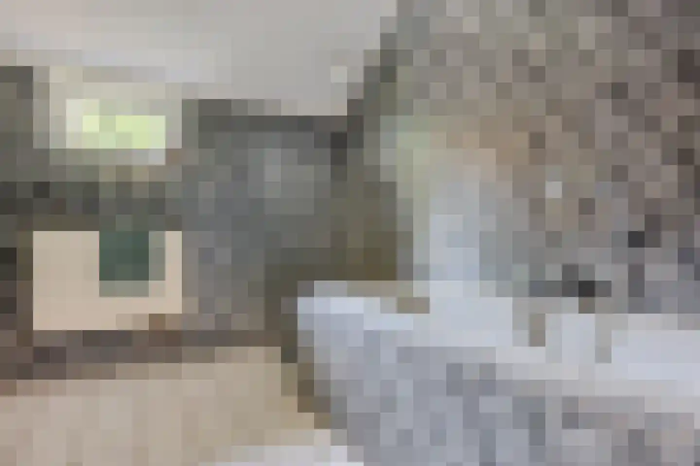 Hoofdweg 10 Kolham thumbnail 23