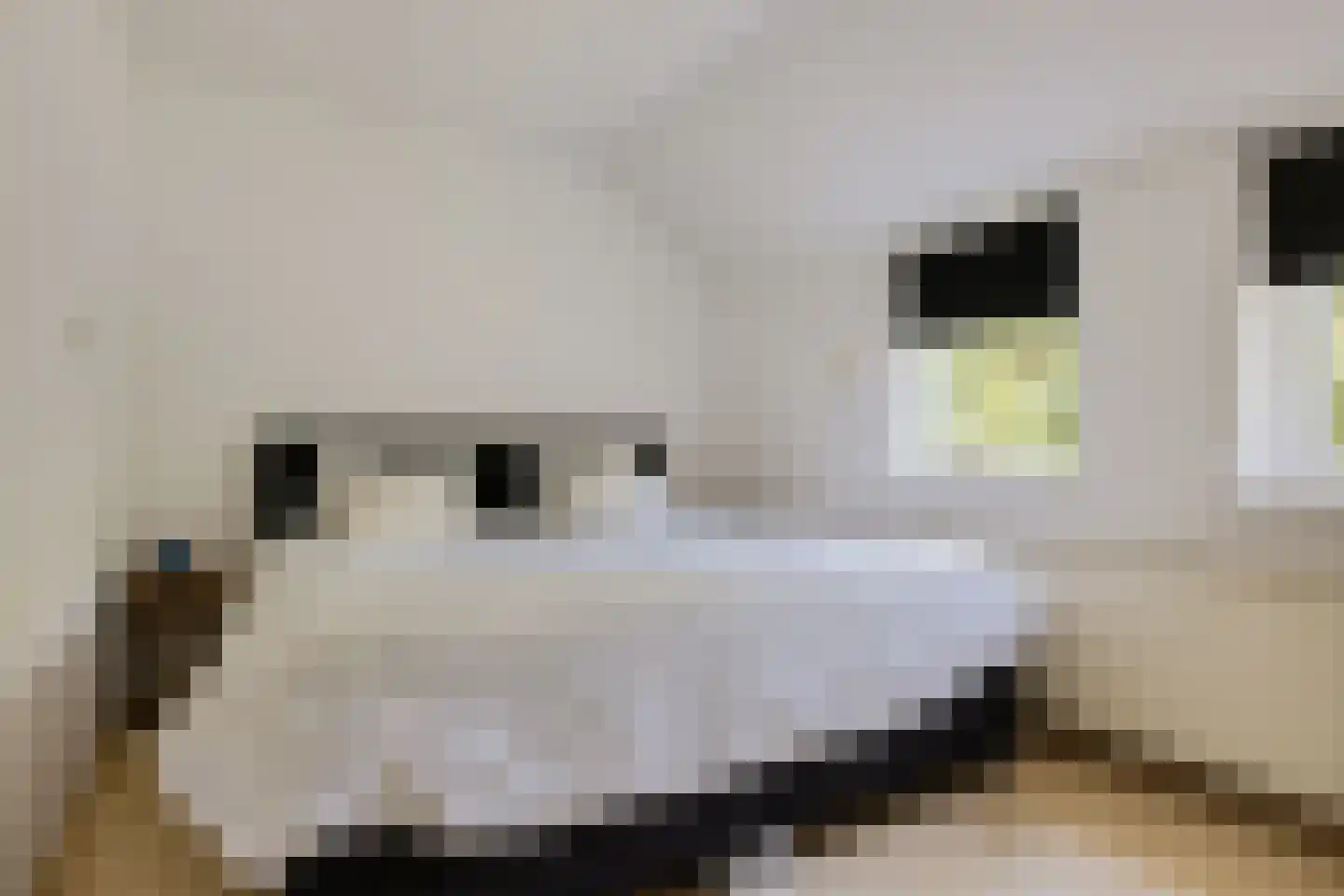 Hoofdweg 10 Kolham thumbnail 26