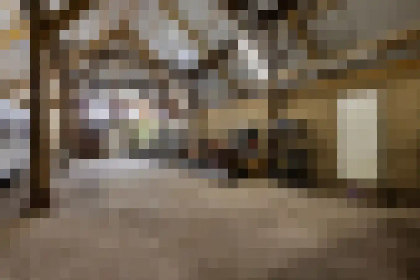 Hoofdweg 10 Kolham thumbnail 30