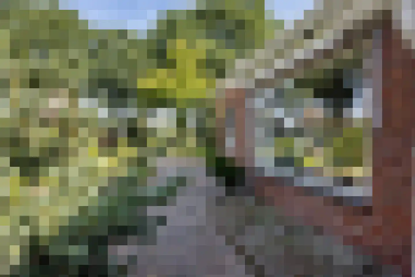 Hoofdweg 10 Kolham thumbnail 41