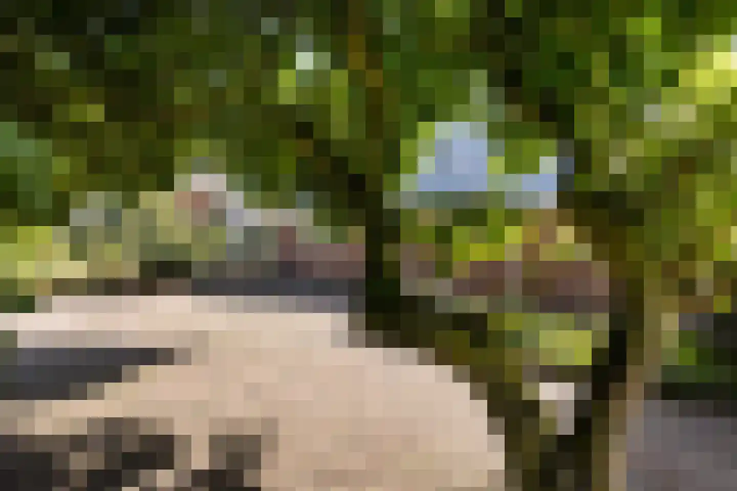 Hoofdweg 10 Kolham thumbnail 45