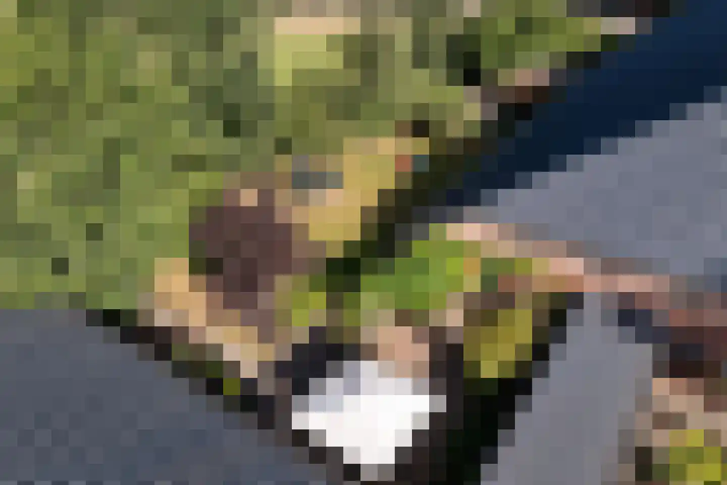 Hoofdweg 10 Kolham thumbnail 46