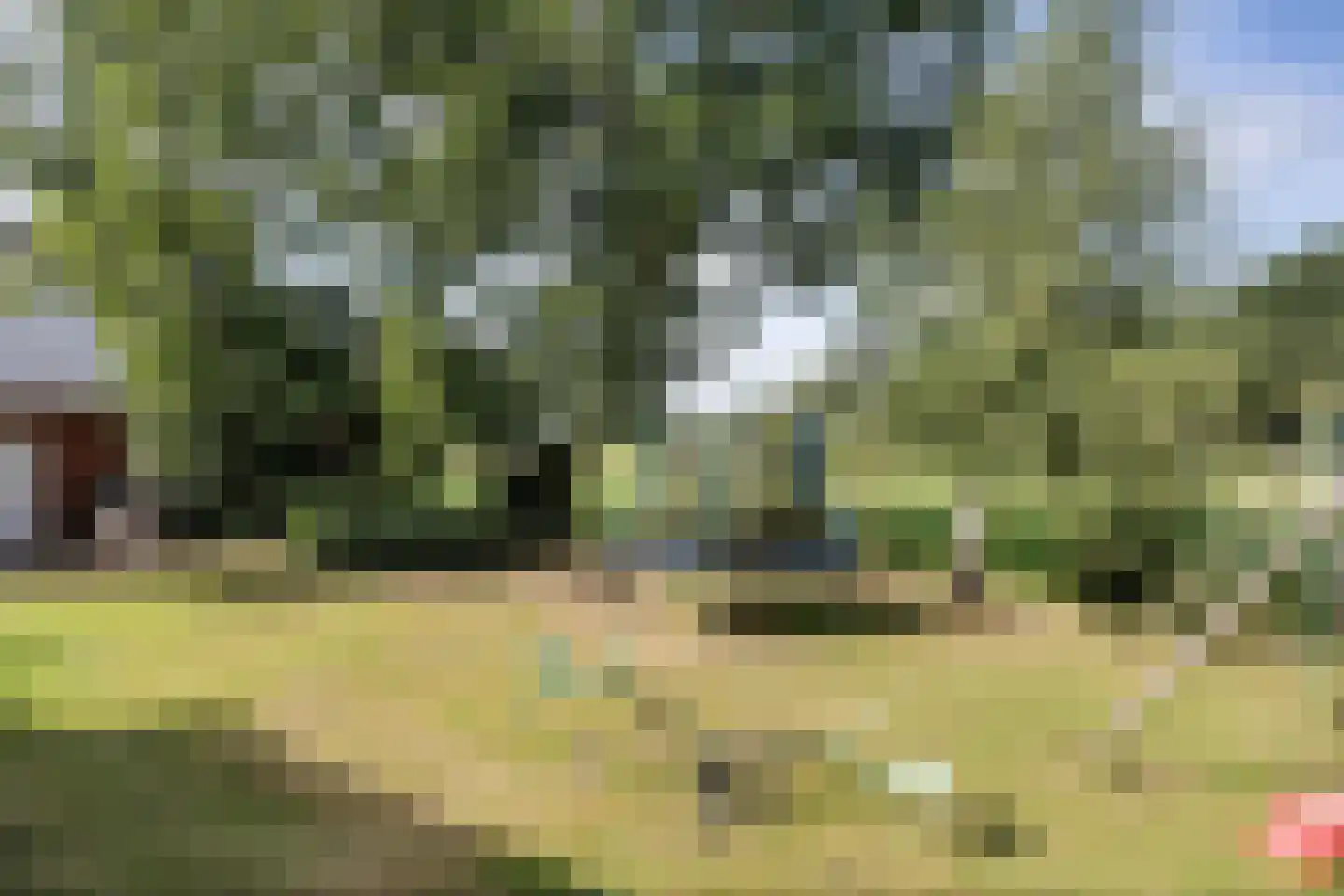 Hoofdweg 10 Kolham thumbnail 48