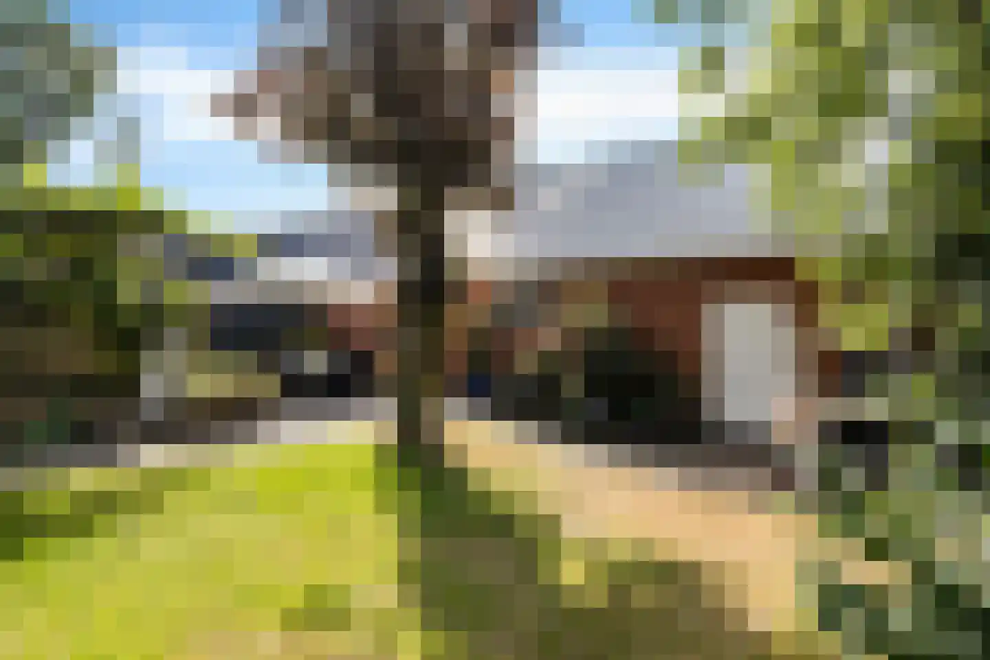 Hoofdweg 10 Kolham thumbnail 49