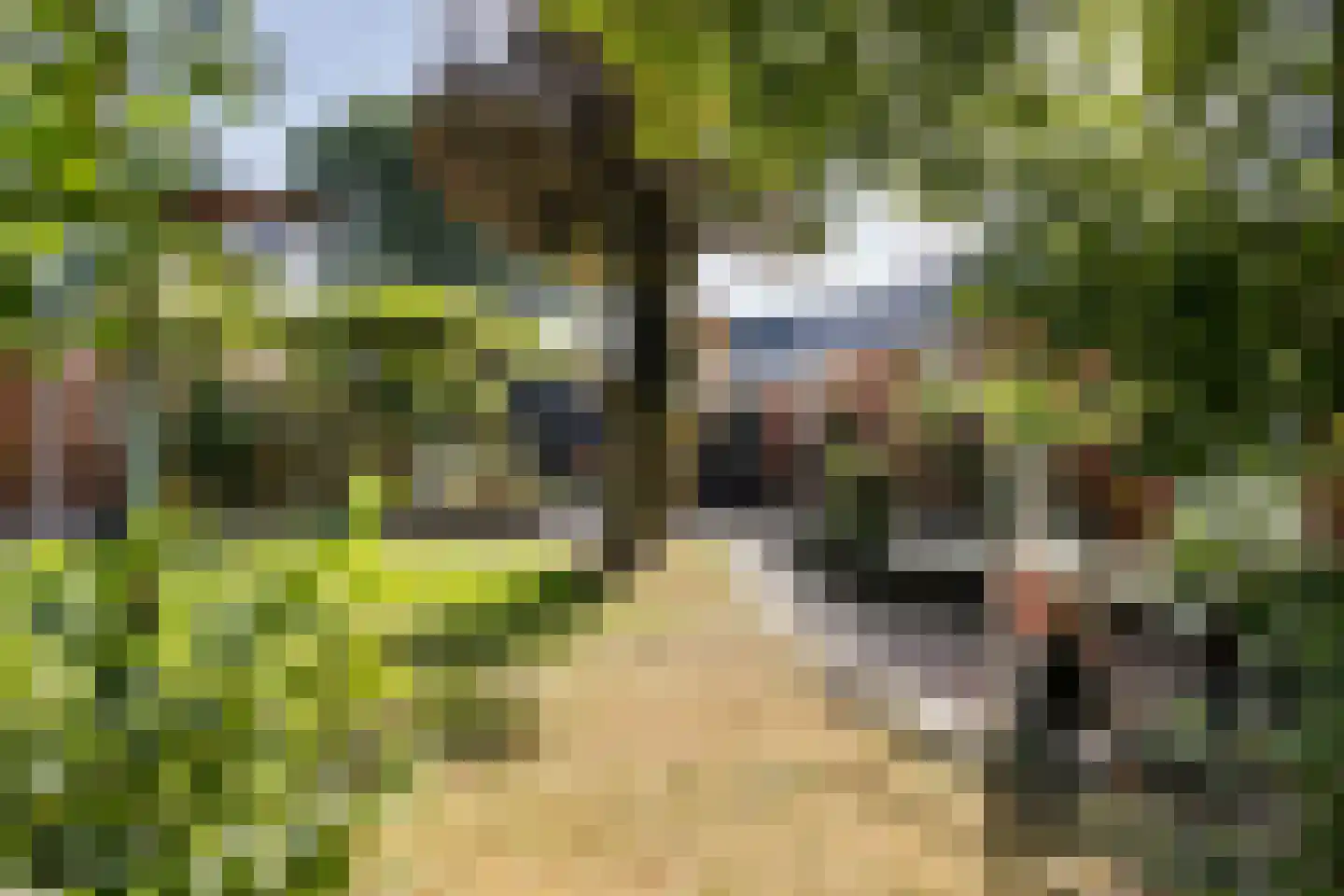Hoofdweg 10 Kolham thumbnail 50