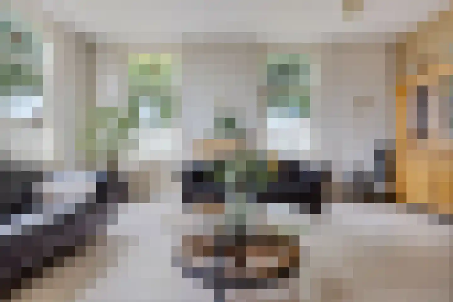 Hoofdweg 10 Kolham thumbnail 7