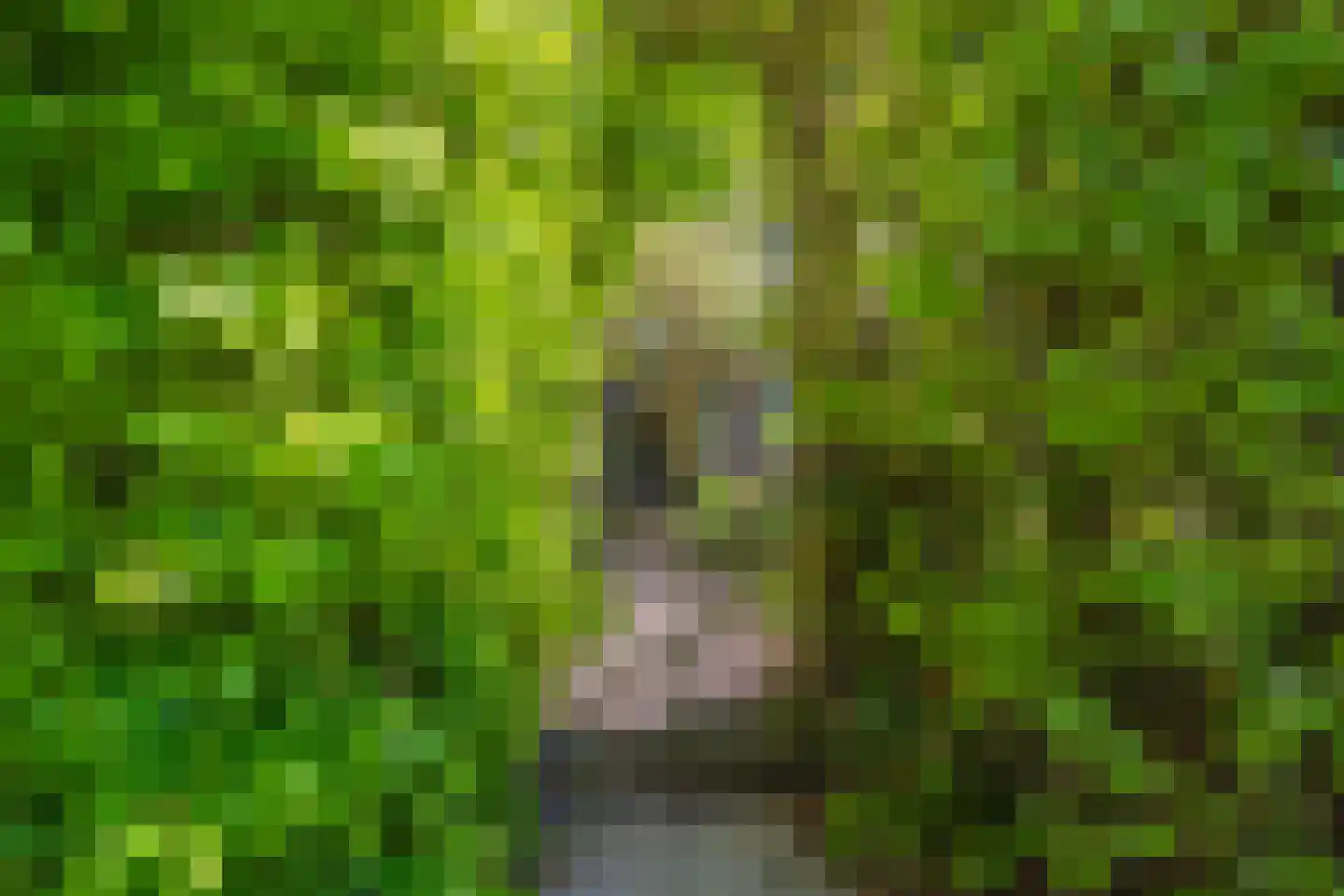 Hoofdweg 100 Scharmer thumbnail 10