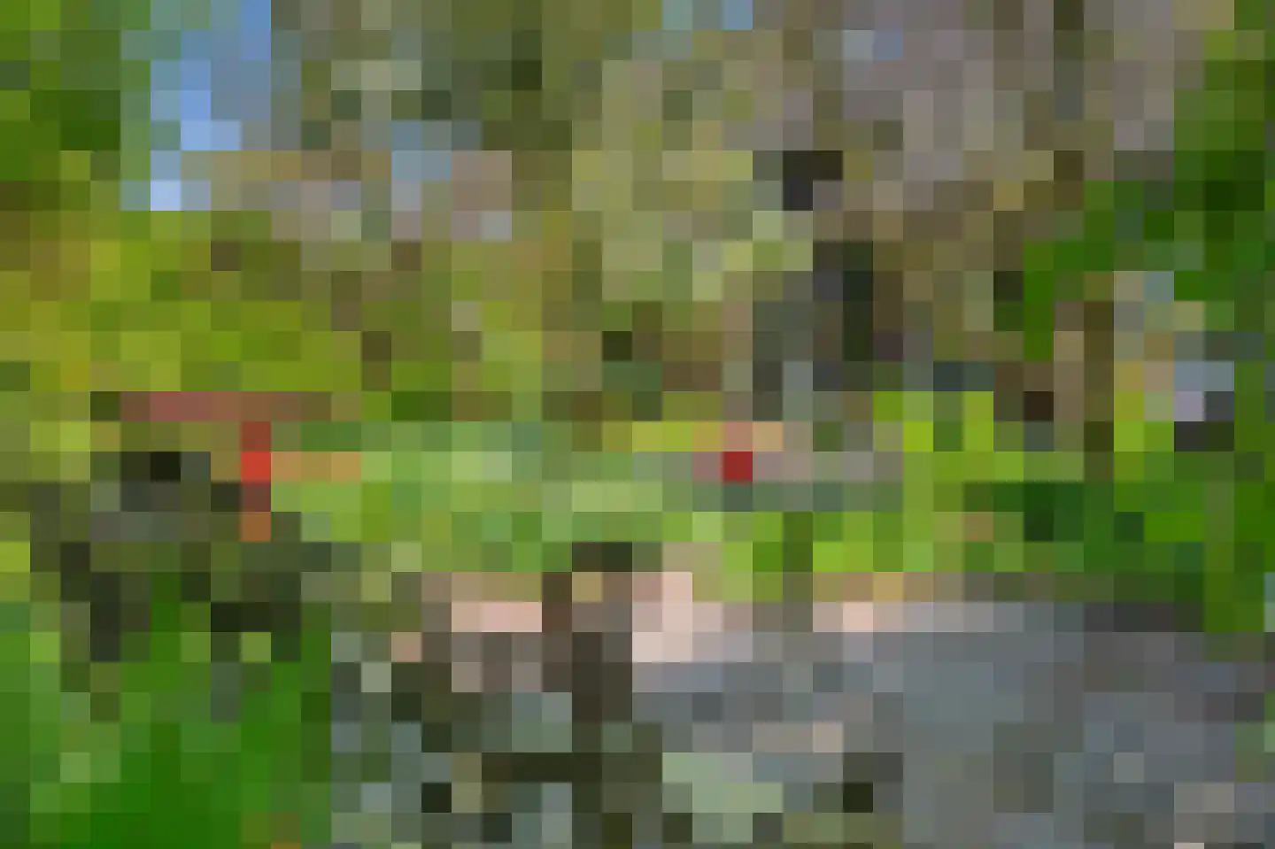 Hoofdweg 100 Scharmer thumbnail 12