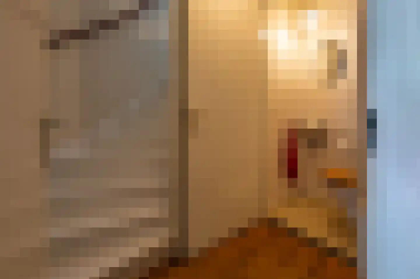 Hoofdweg 100 Scharmer thumbnail 27