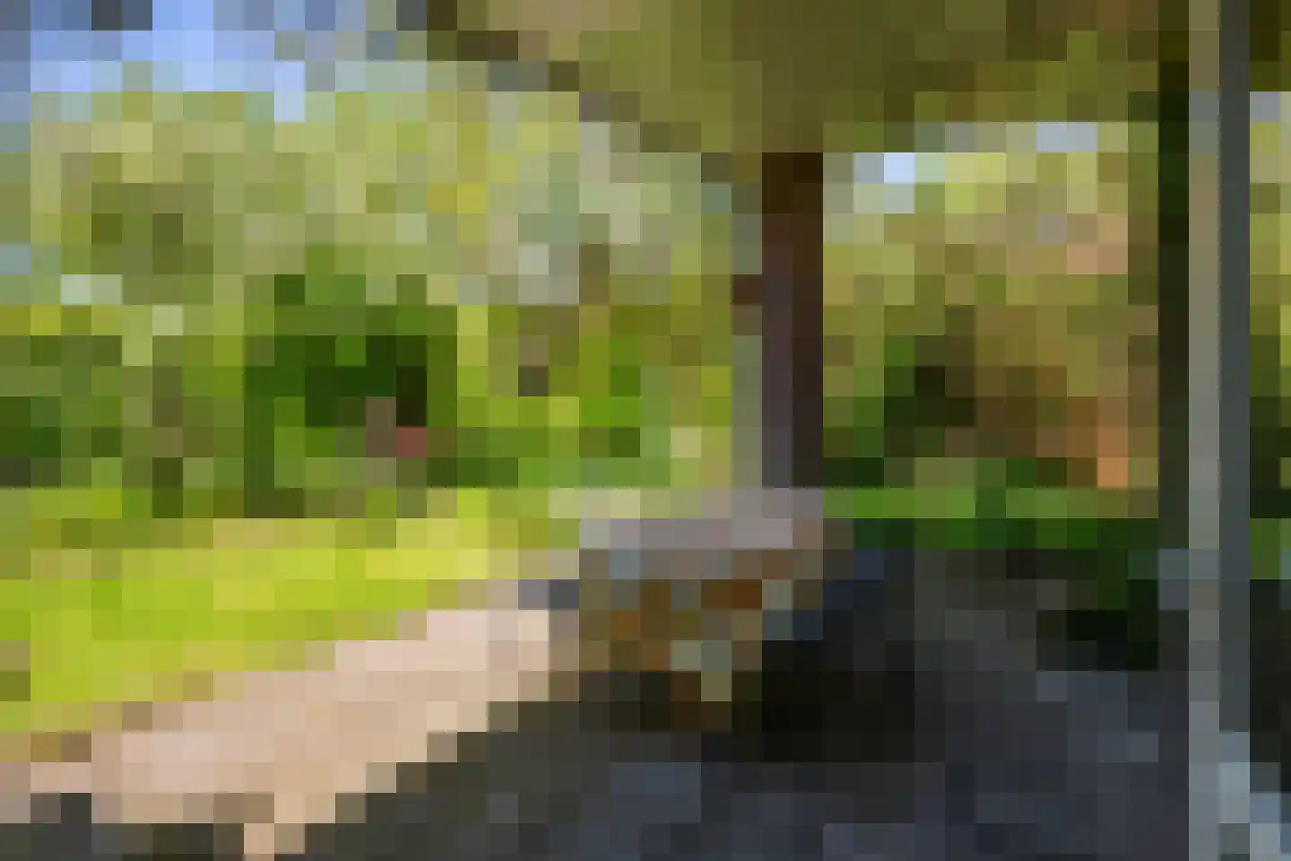 Hoofdweg 100 Scharmer thumbnail 28
