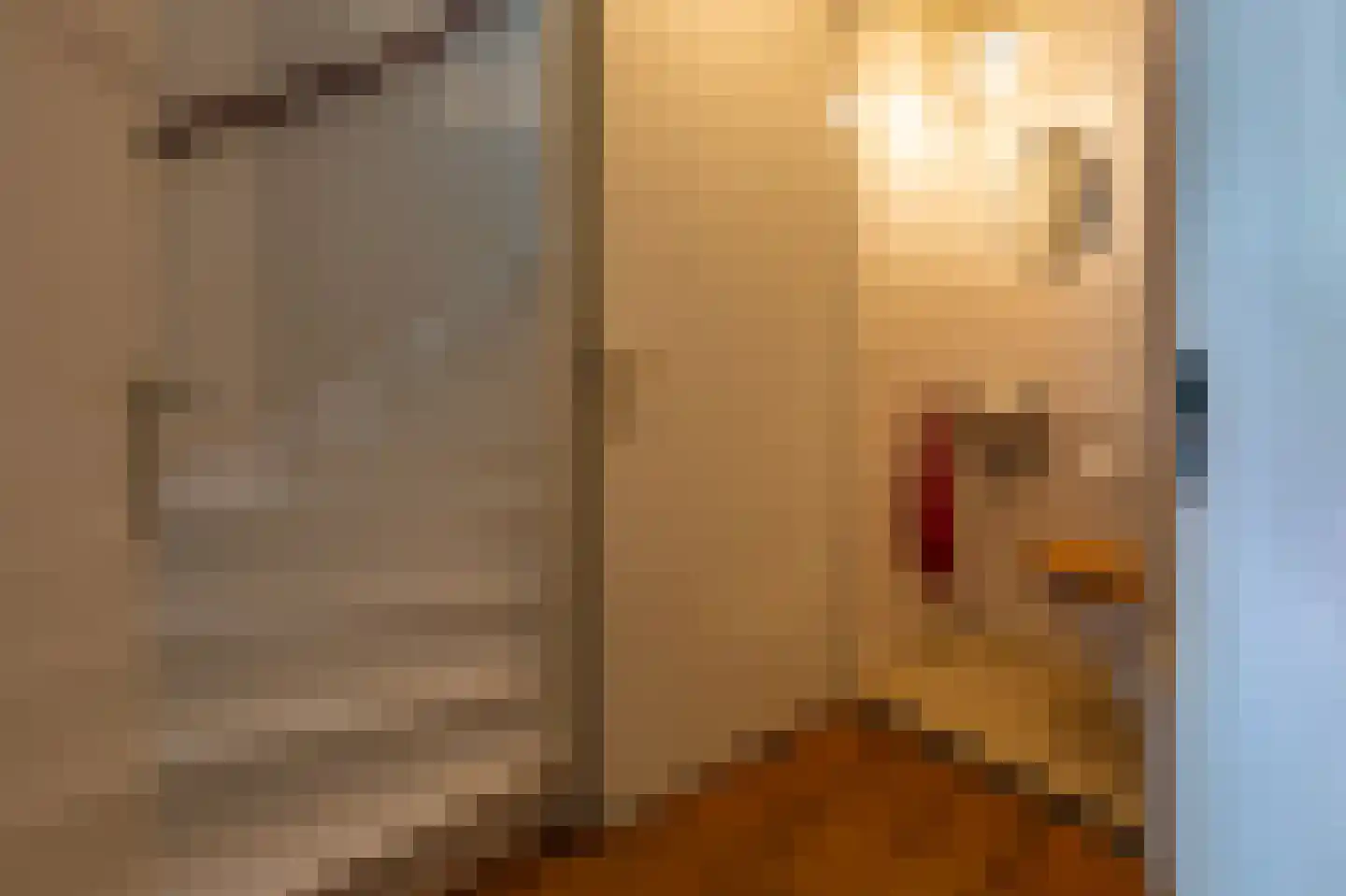 Hoofdweg 100 Scharmer thumbnail 29