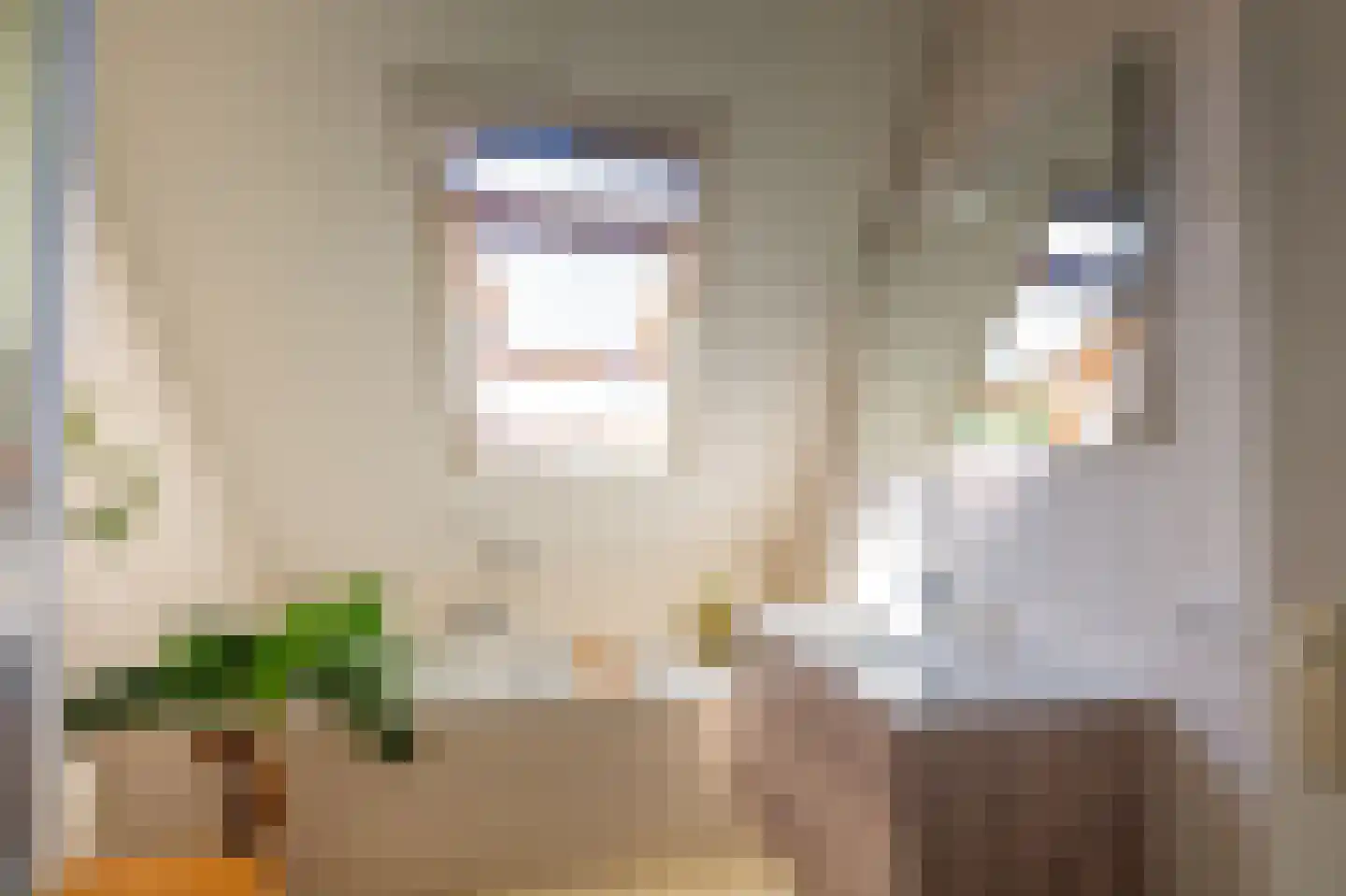 Hoofdweg 100 Scharmer thumbnail 33