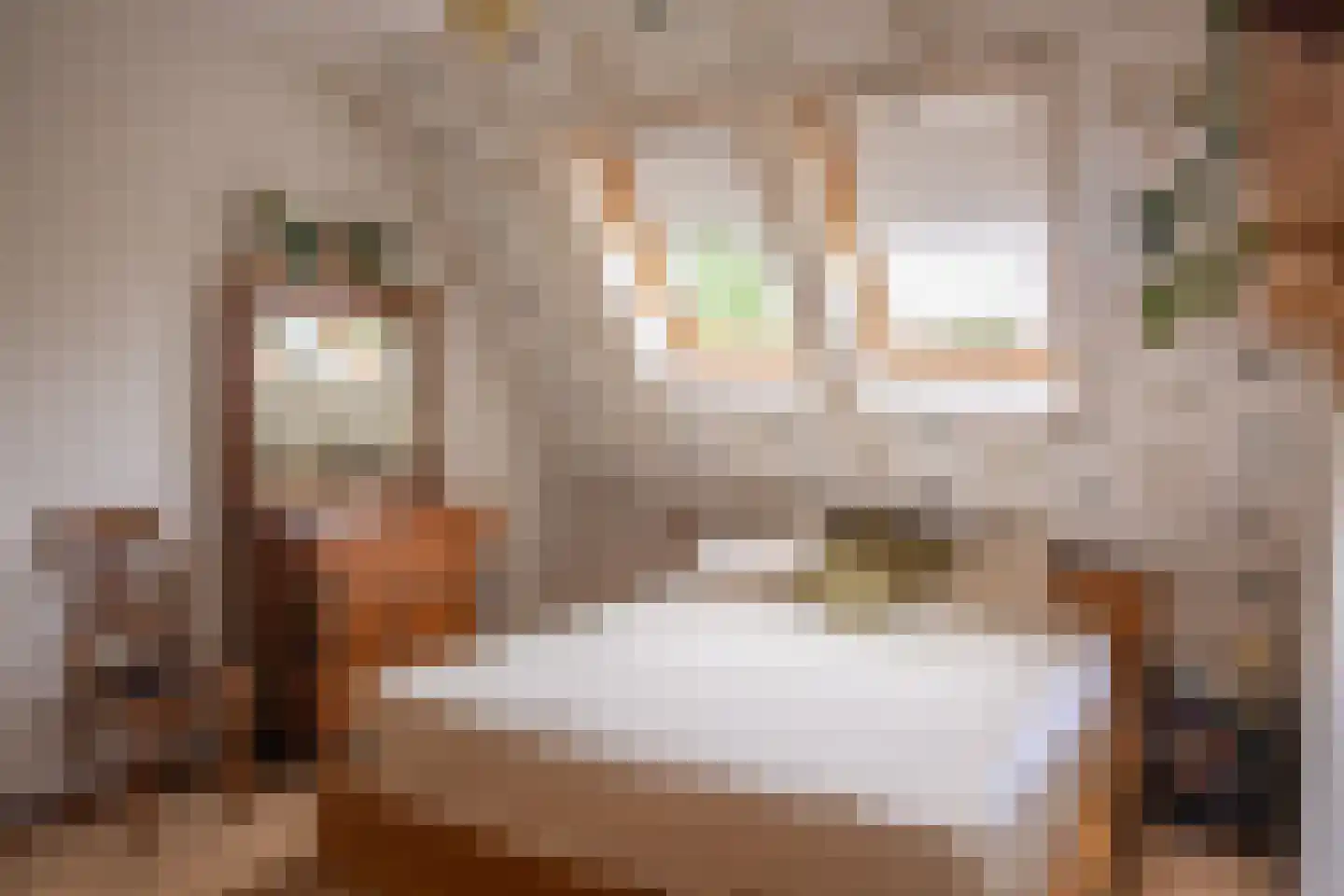 Hoofdweg 100 Scharmer thumbnail 37