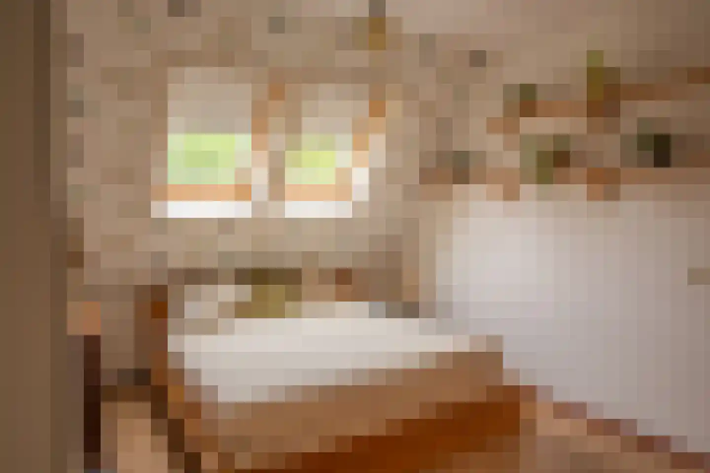 Hoofdweg 100 Scharmer thumbnail 38