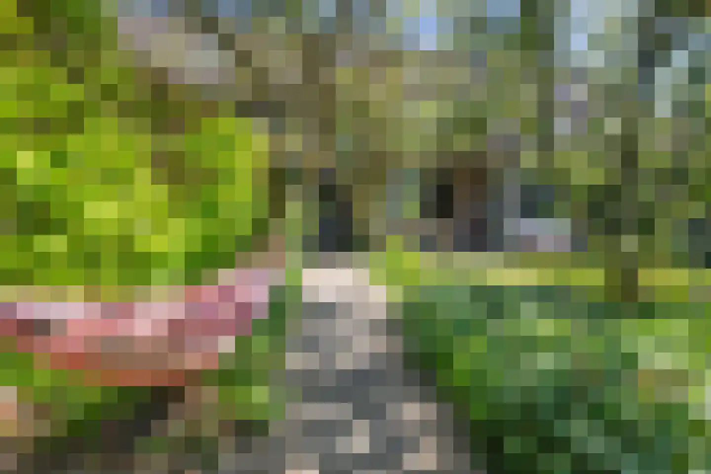 Hoofdweg 100 Scharmer thumbnail 5