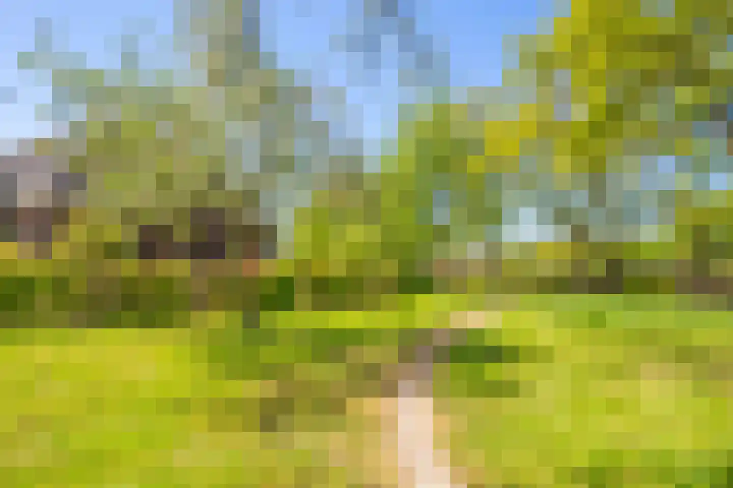 Hoofdweg 100 Scharmer thumbnail 58