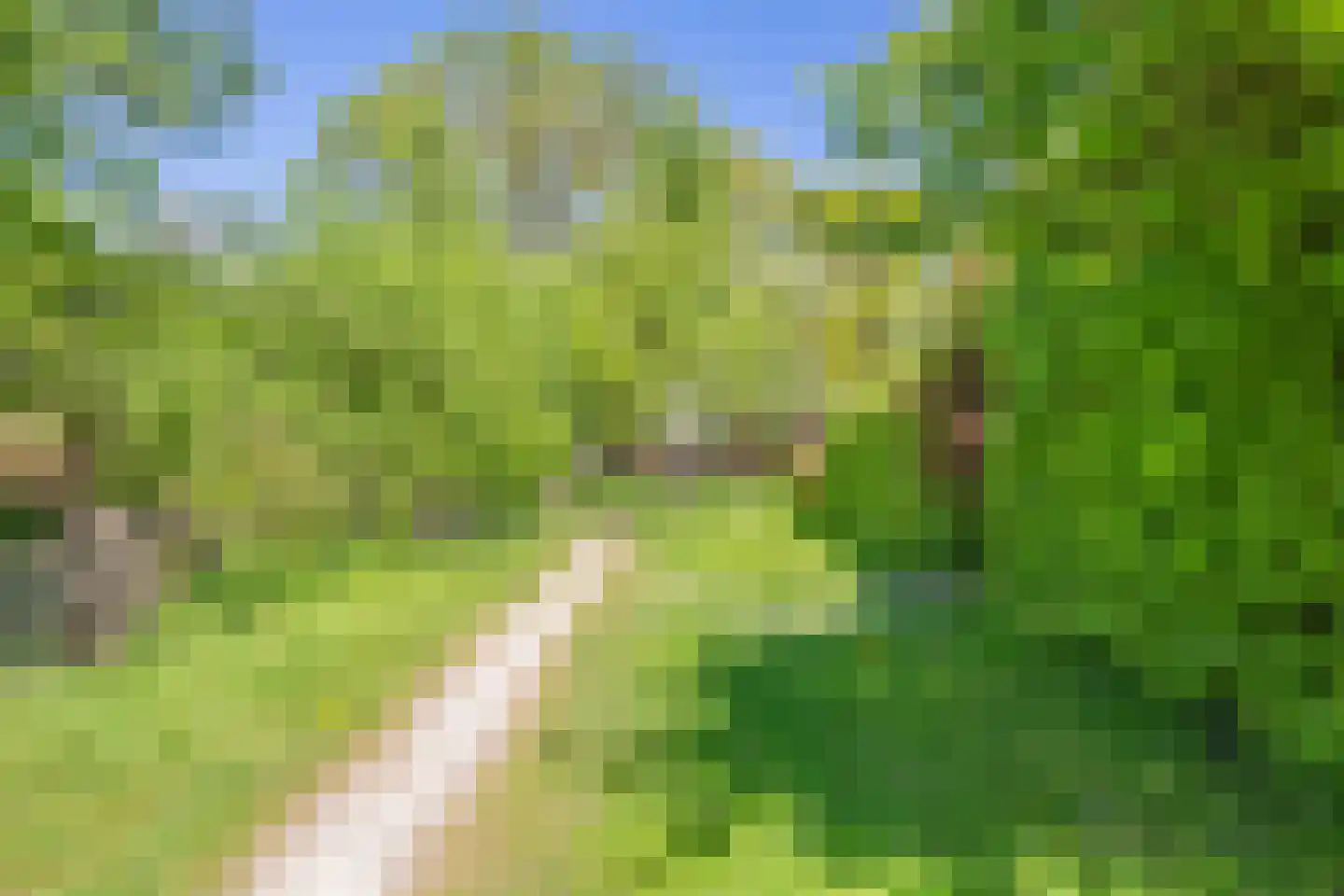 Hoofdweg 100 Scharmer thumbnail 59