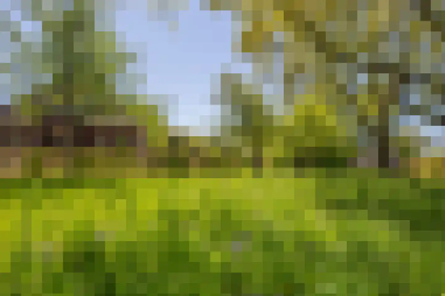 Hoofdweg 100 Scharmer thumbnail 60