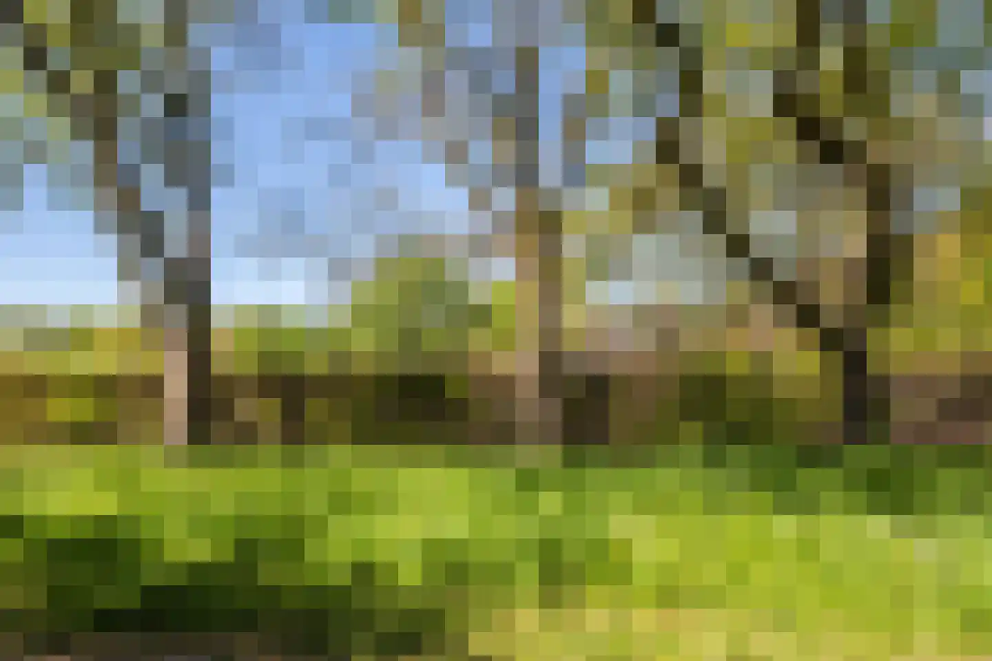 Hoofdweg 100 Scharmer thumbnail 61