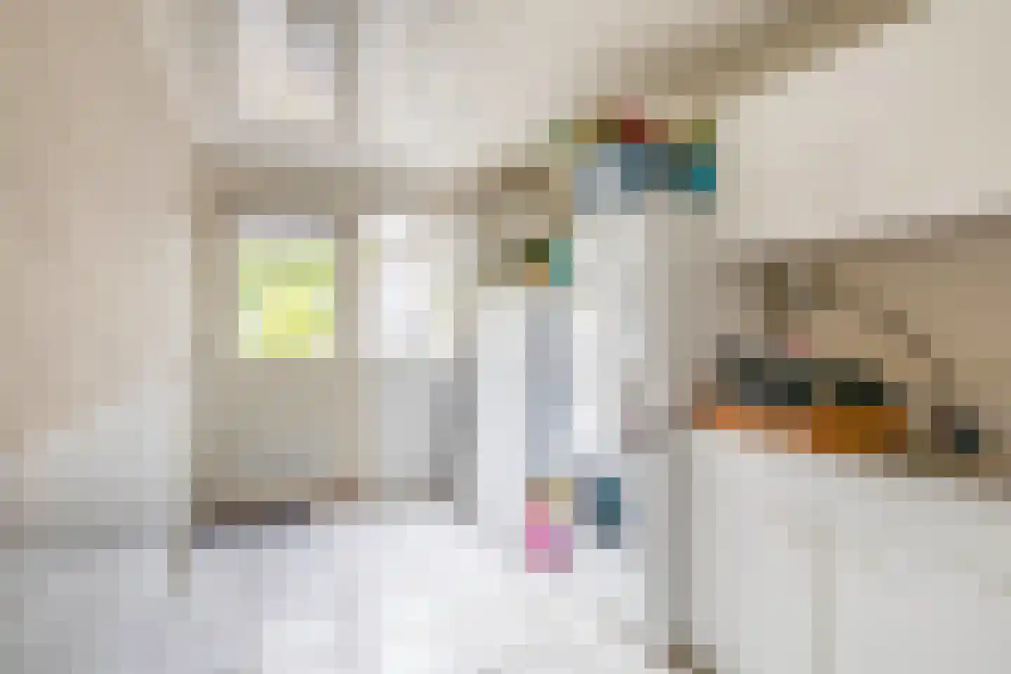 Hoofdweg 100 Westerlee thumbnail 20