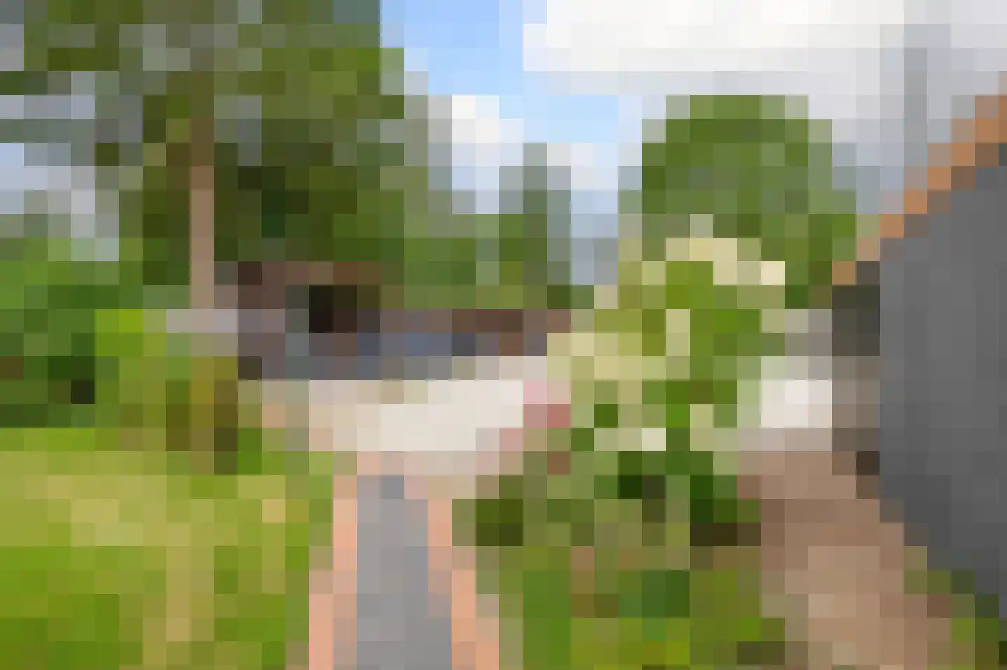 Hoofdweg 100 Westerlee thumbnail 33