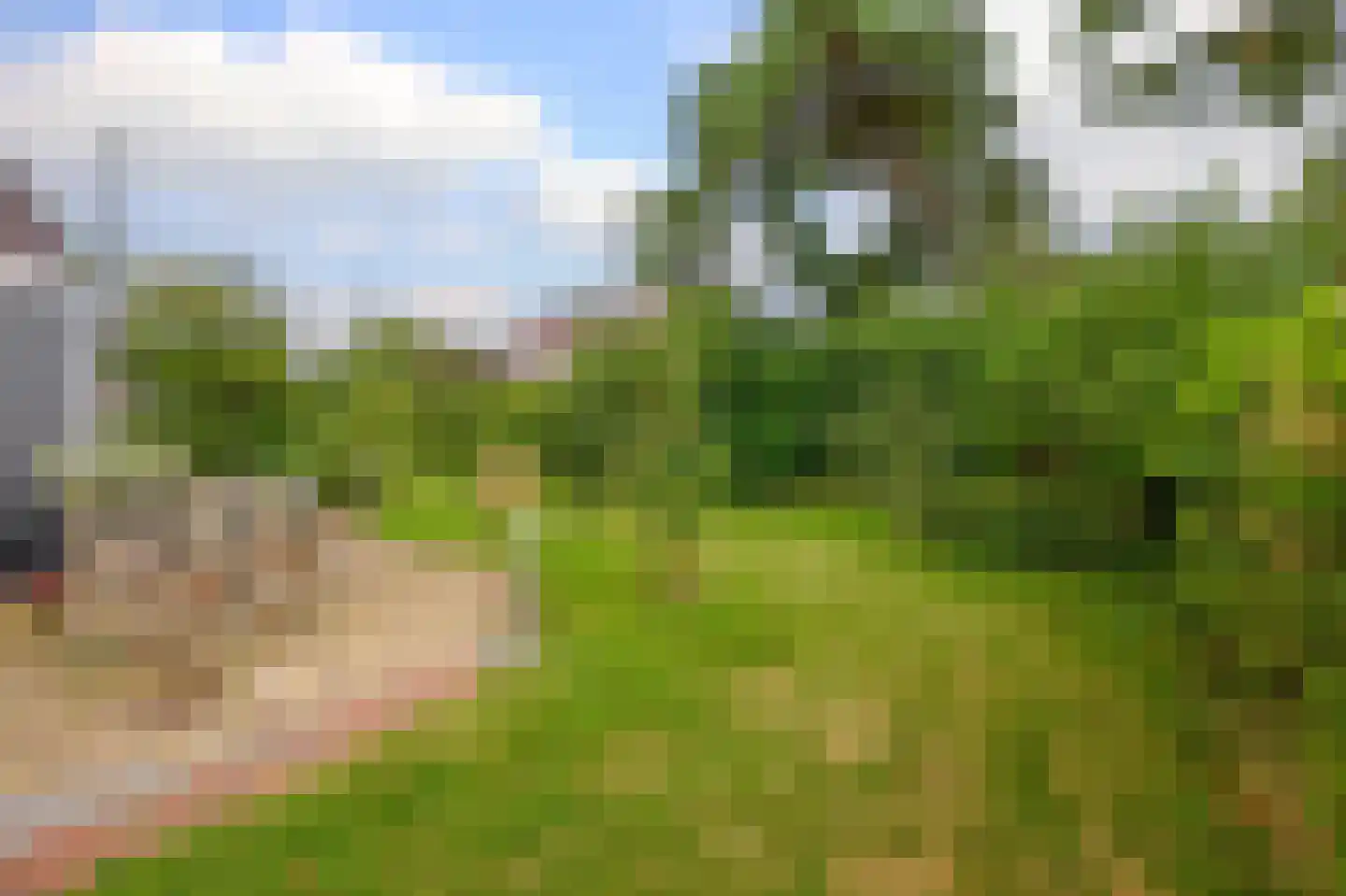 Hoofdweg 100 Westerlee thumbnail 52