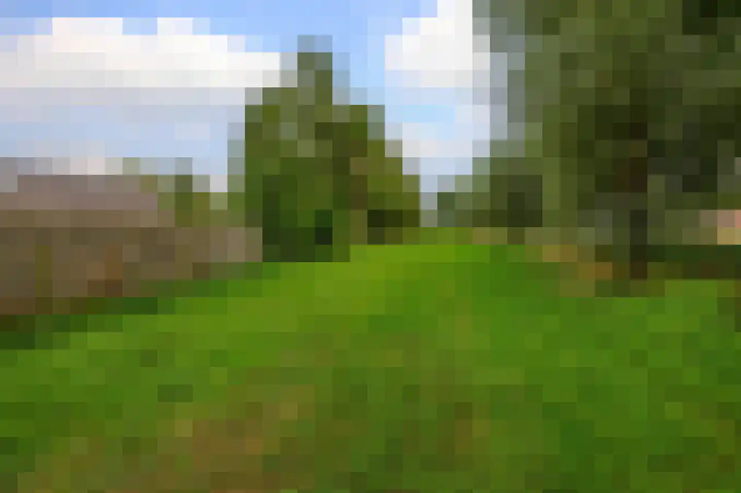 Hoofdweg 100 Westerlee thumbnail 53