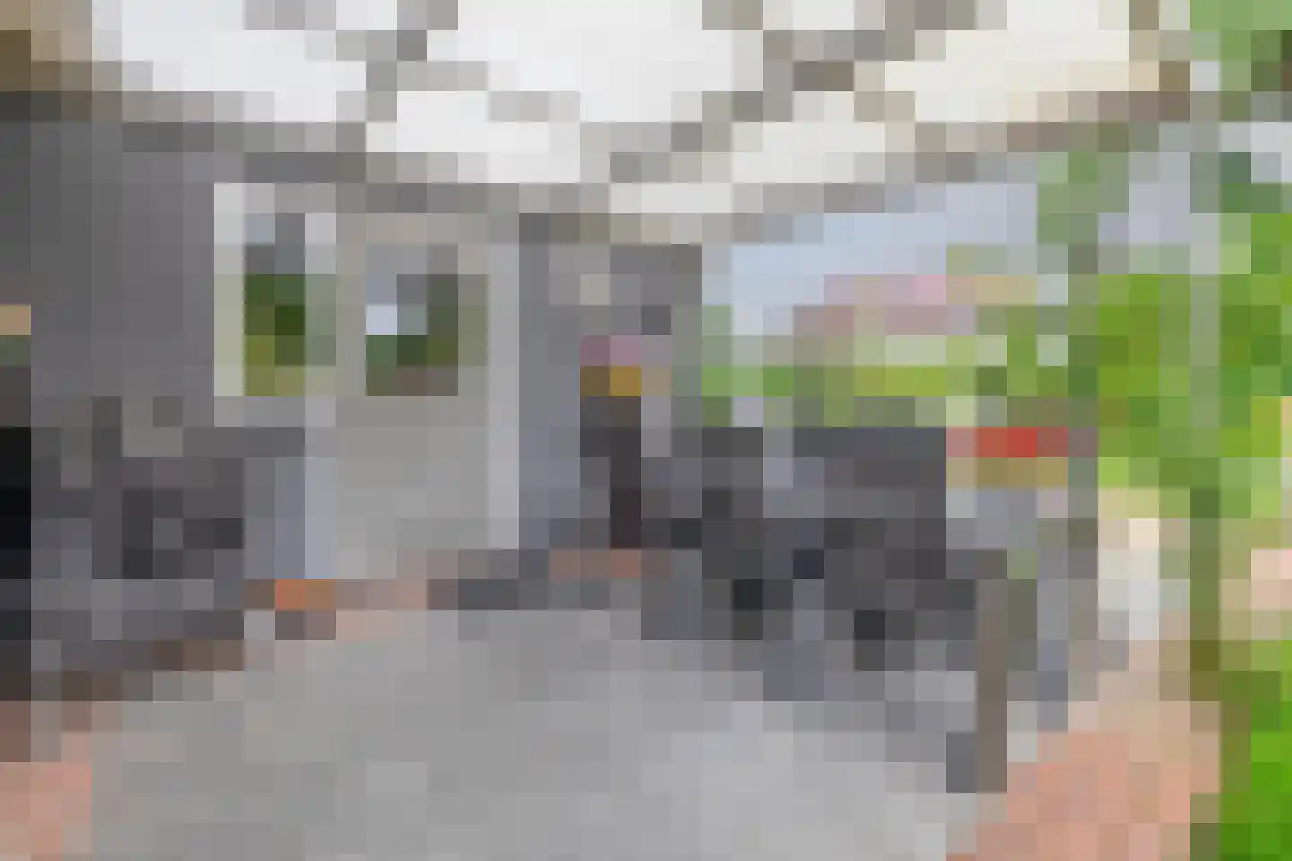 Hoofdweg 100 Westerlee thumbnail 57