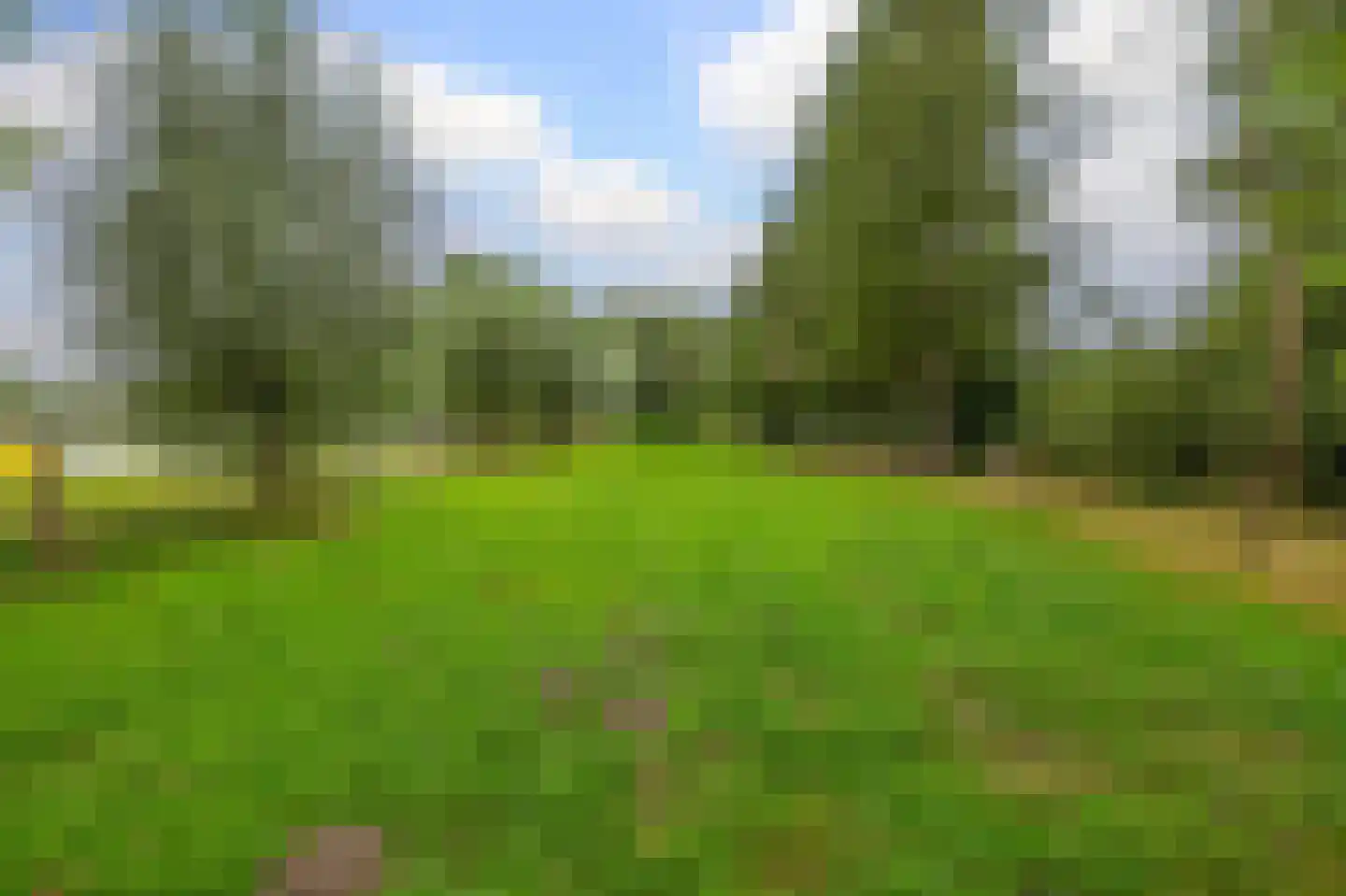 Hoofdweg 100 Westerlee thumbnail 60