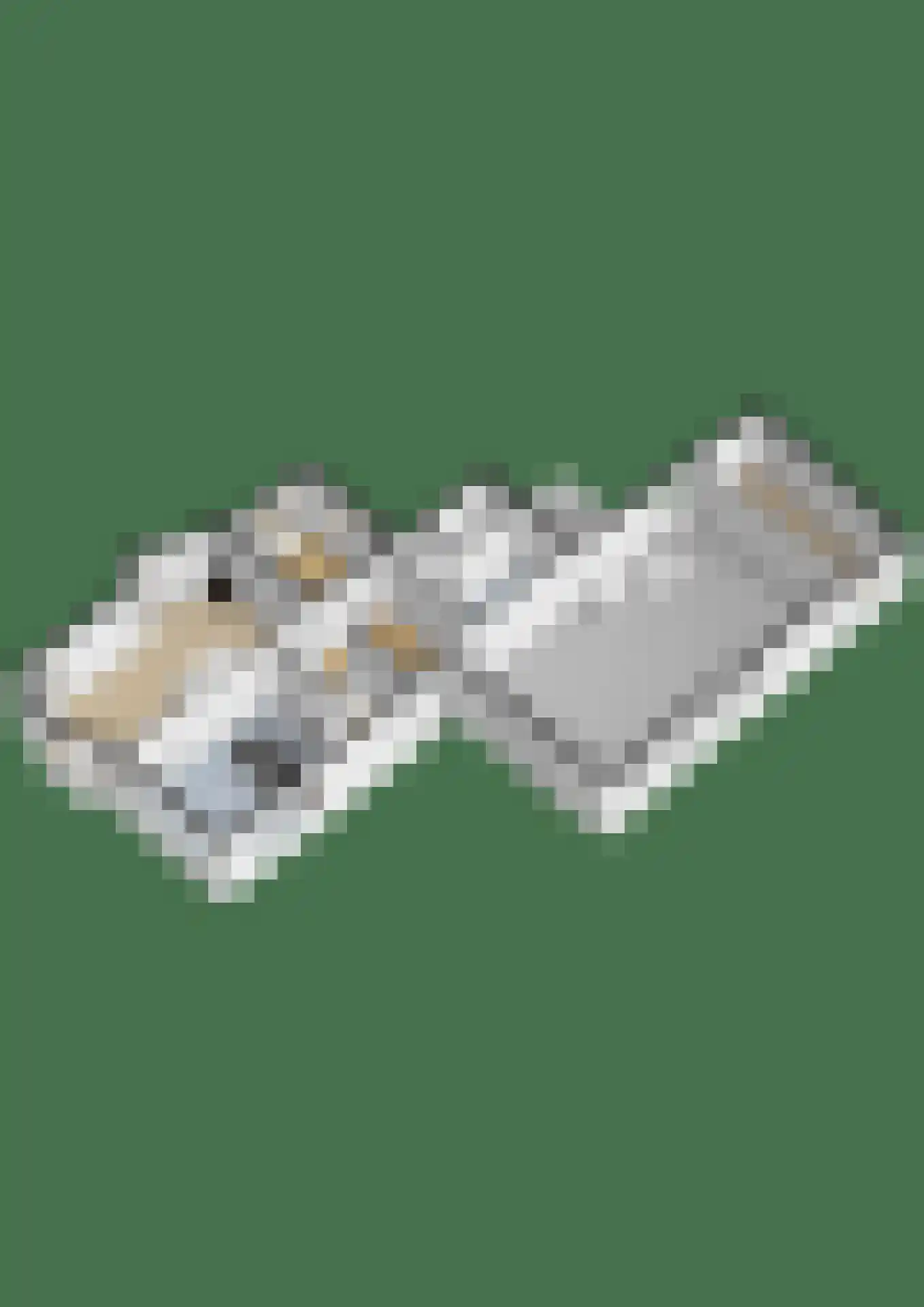 Hoofdweg 100 Westerlee thumbnail 63