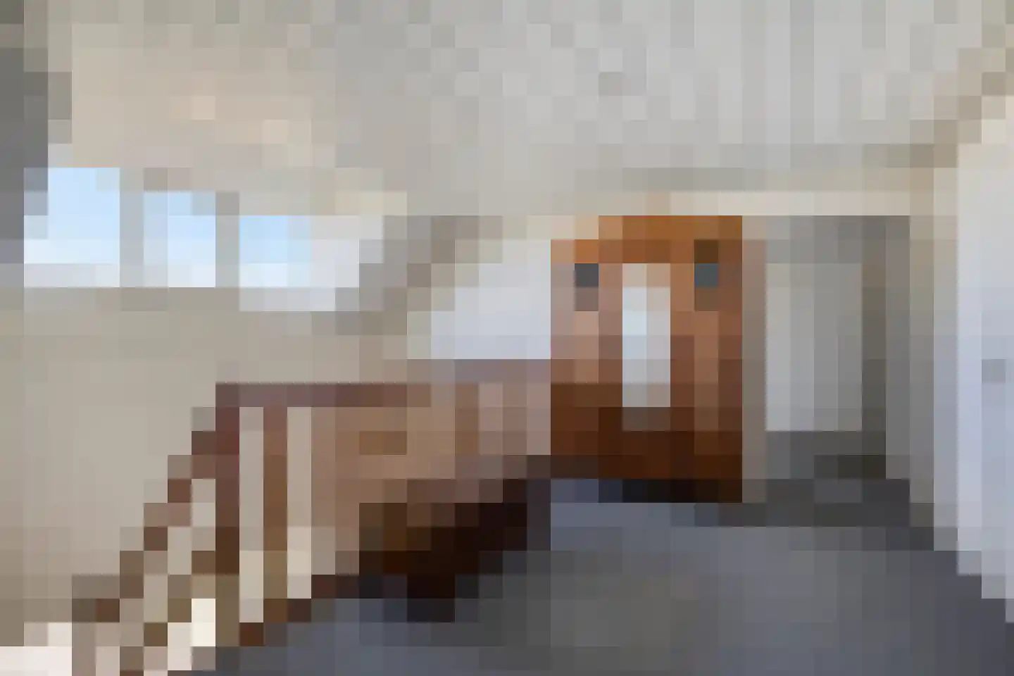 Hoofdweg 102 Zegveld thumbnail 30