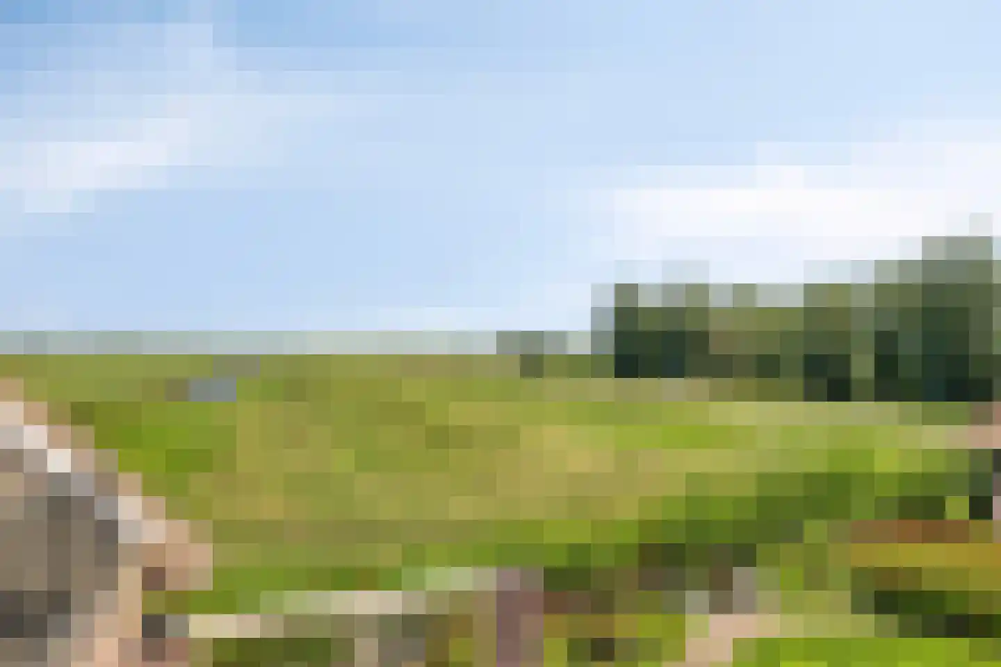 Hoofdweg 102 Zegveld thumbnail 54