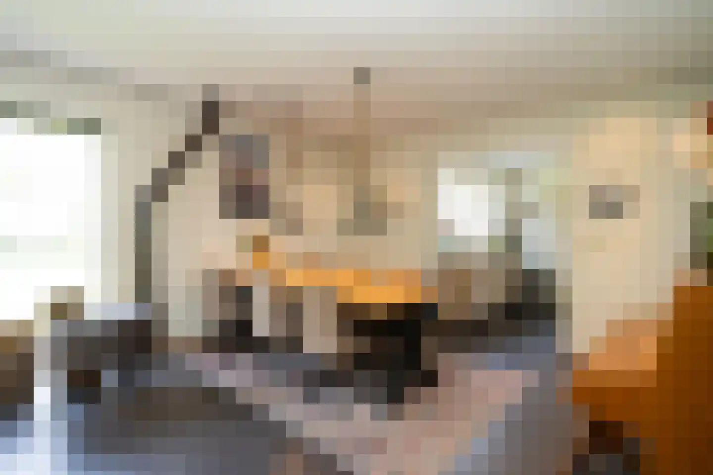 Hoofdweg 103 De Cocksdorp thumbnail 12