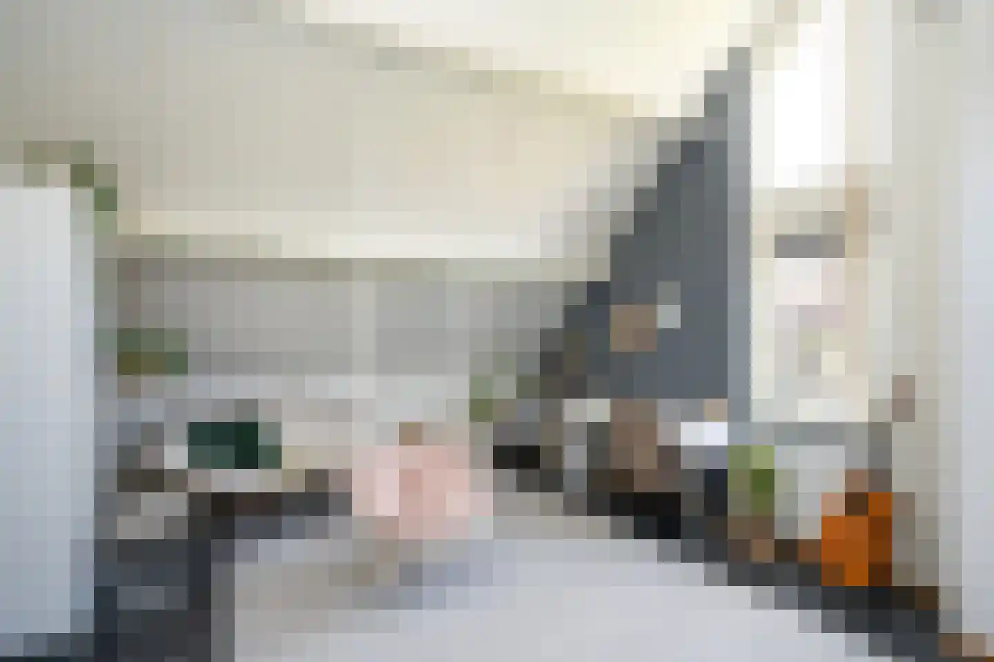 Hoofdweg 103 De Cocksdorp thumbnail 29