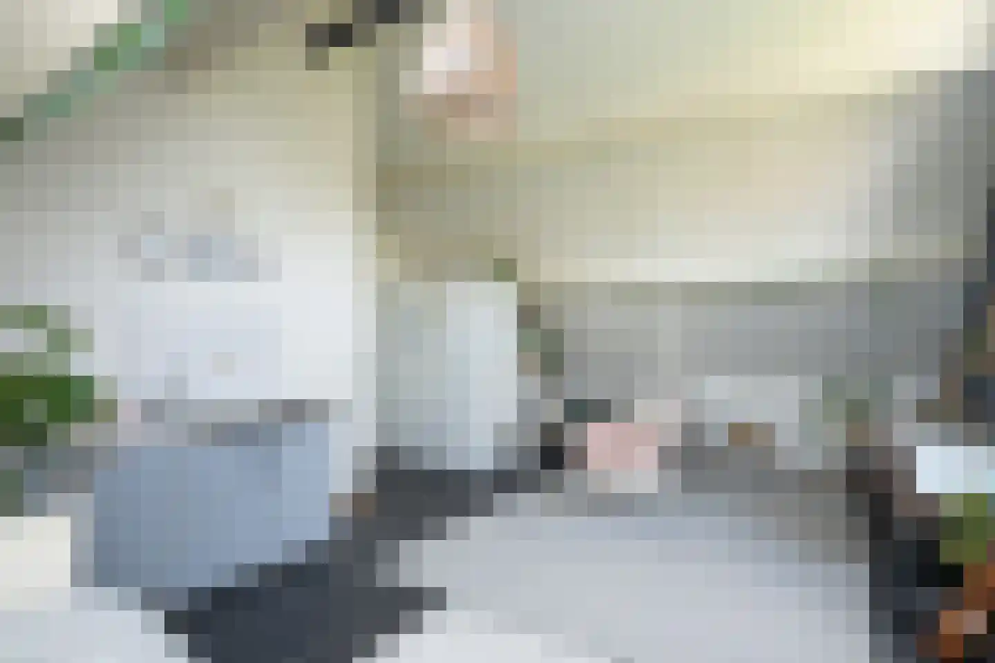 Hoofdweg 103 De Cocksdorp thumbnail 31