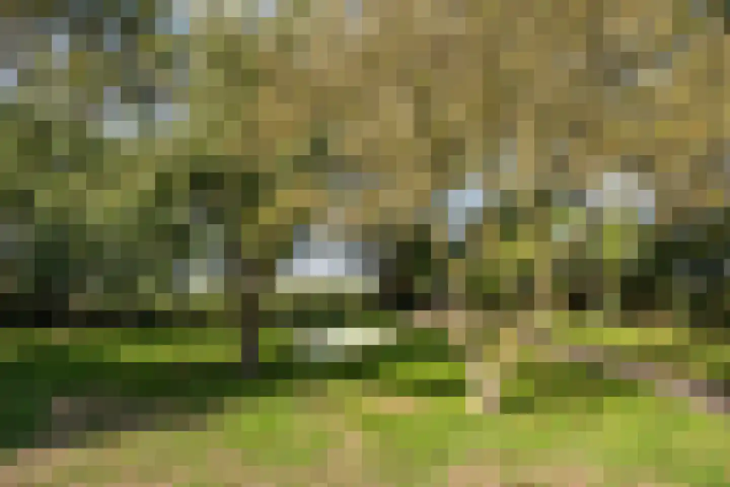 Hoofdweg 103 De Cocksdorp thumbnail 41
