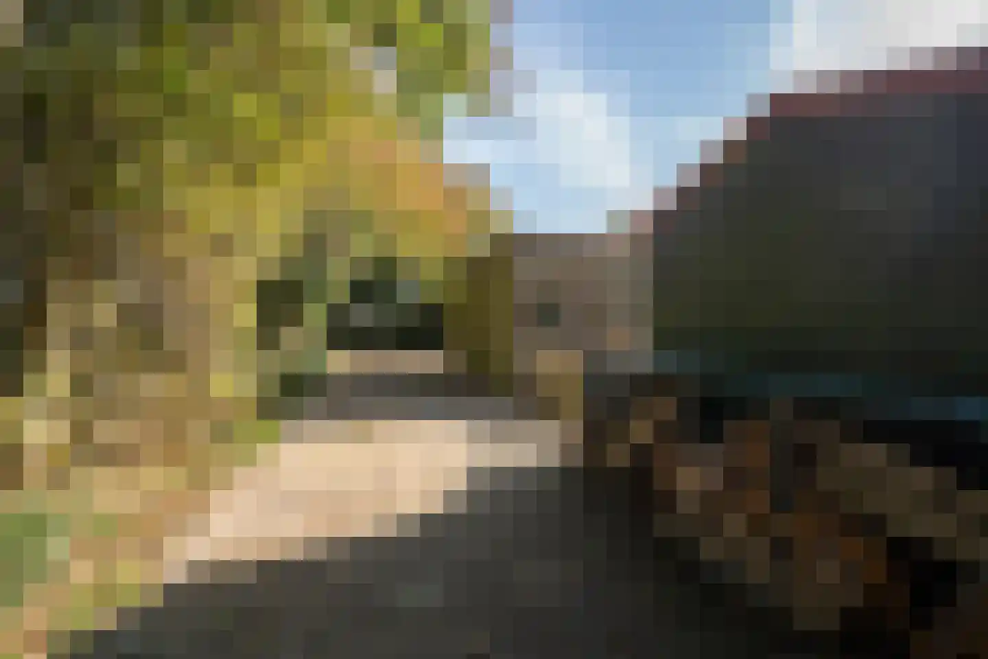 Hoofdweg 103 De Cocksdorp thumbnail 50