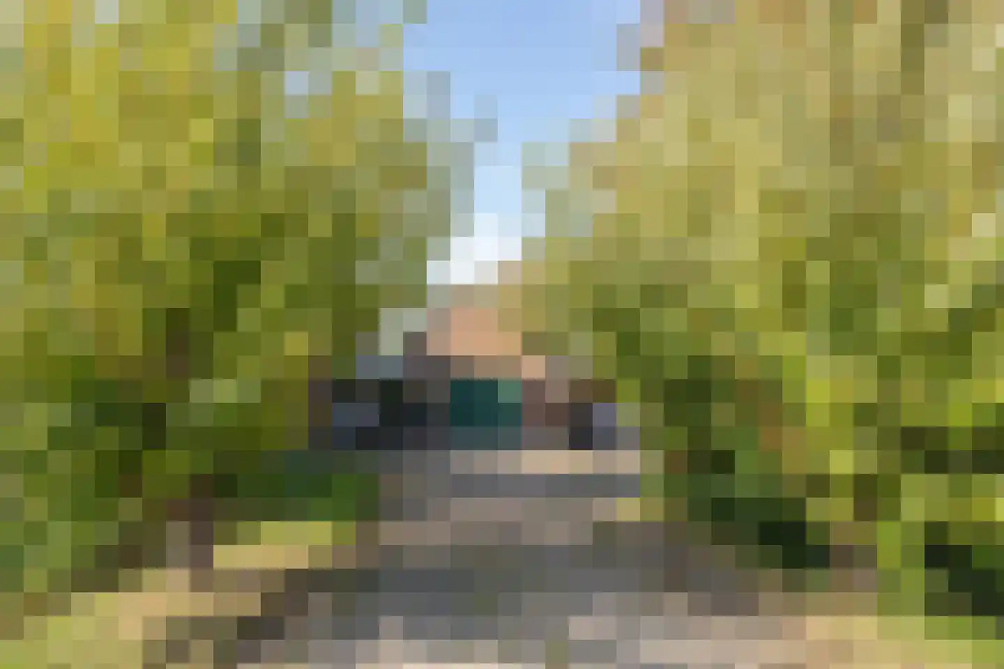 Hoofdweg 103 De Cocksdorp thumbnail 51