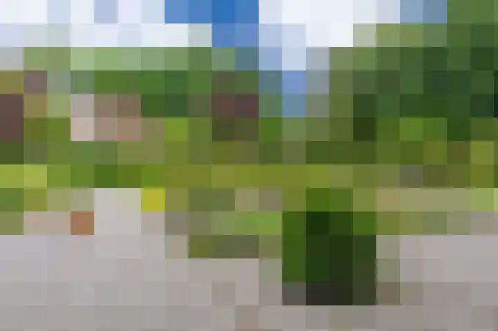 Hoofdweg 103 Midwolda thumbnail 70