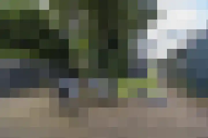 Hoofdweg 104 Bellingwolde thumbnail 10
