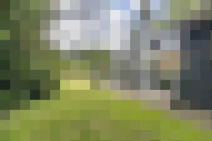 Hoofdweg 104 Bellingwolde thumbnail 11