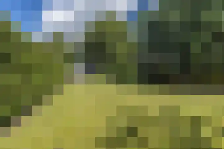 Hoofdweg 104 Bellingwolde thumbnail 14