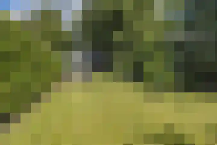 Hoofdweg 104 Bellingwolde thumbnail 15