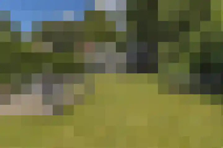 Hoofdweg 104 Bellingwolde thumbnail 16
