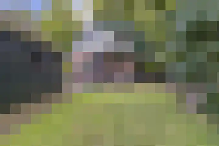 Hoofdweg 104 Bellingwolde thumbnail 17