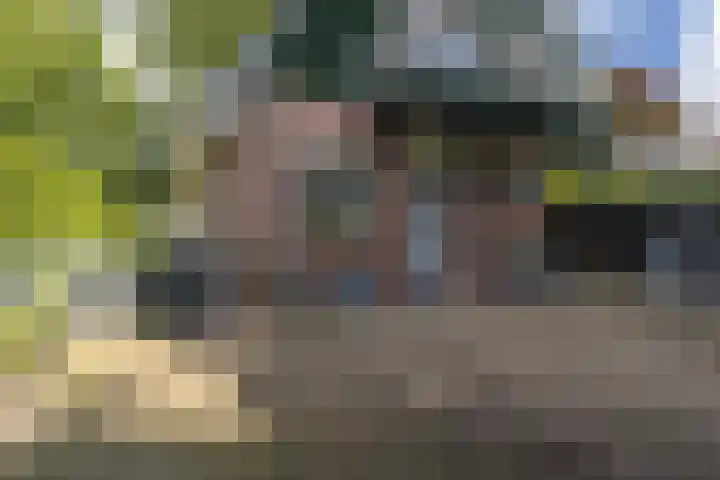 Hoofdweg 104 Bellingwolde thumbnail 18