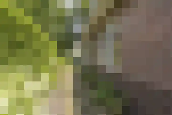 Hoofdweg 104 Bellingwolde thumbnail 19