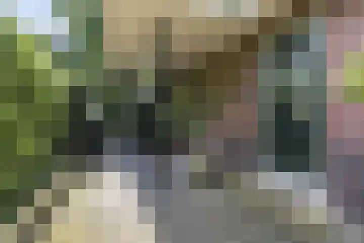Hoofdweg 104 Bellingwolde thumbnail 21