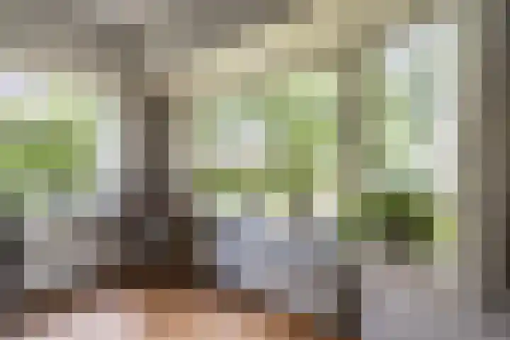 Hoofdweg 104 Bellingwolde thumbnail 26